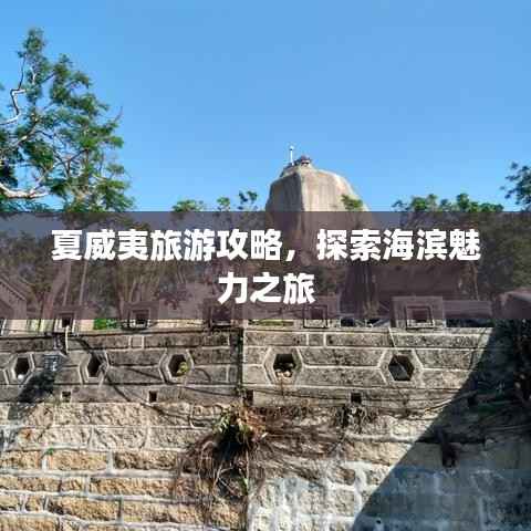 夏威夷旅游攻略,探索海滨魅力之旅