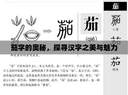 百不一遇