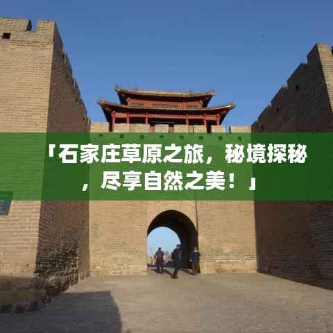 玉树临风