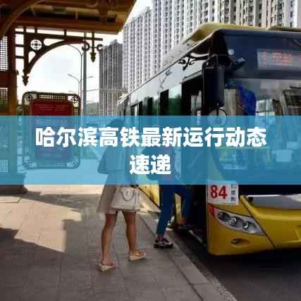 哈尔滨高铁最新运行动态速递
